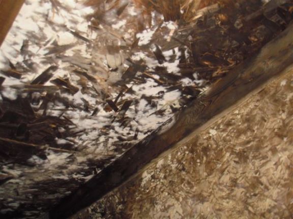 Here we see rotted wood in an attic.