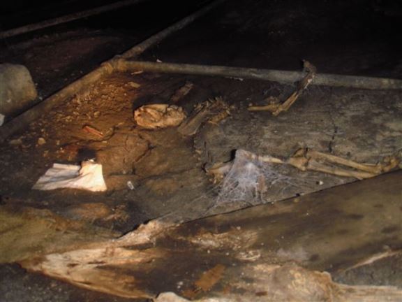 More skeletons in the crawl space.